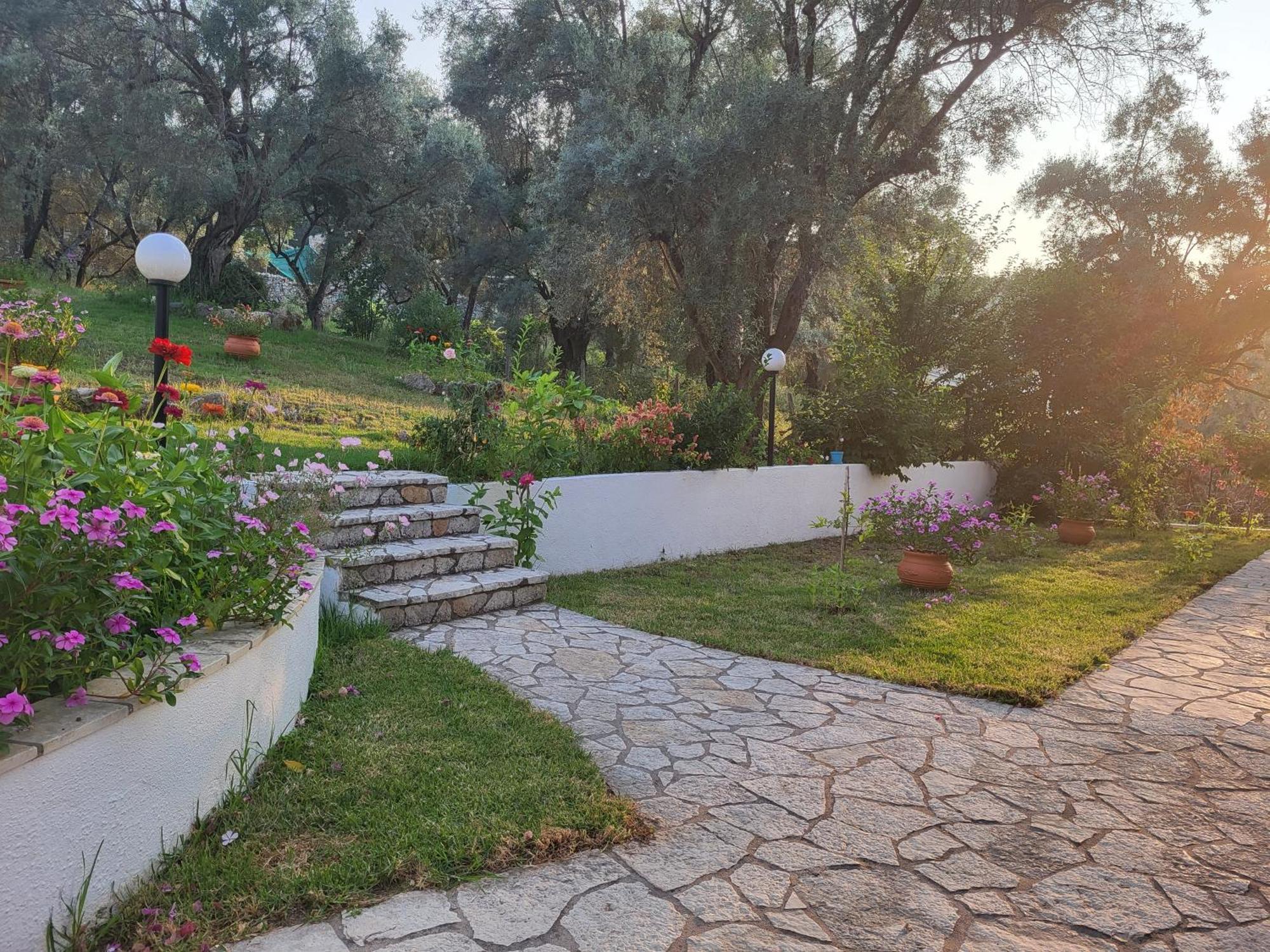 Dimitra Studios Lefkada City Exterior photo
